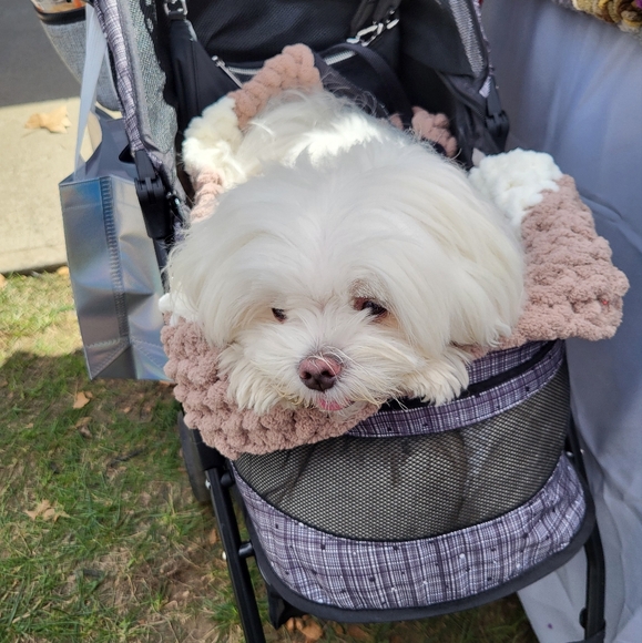 Hand-knit, machine washable and dryable pet pads, custom sizes - Picture 3 of 7